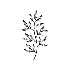Leafy Stem. Stylized leafy stem in elegant monochrome line art, perfect for clean, modern compositions, packaging, or stationery design.