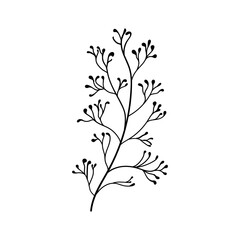 Minimal Flower Line Art. Simple floral illustration in black and white, featuring delicate buds or blossoms.