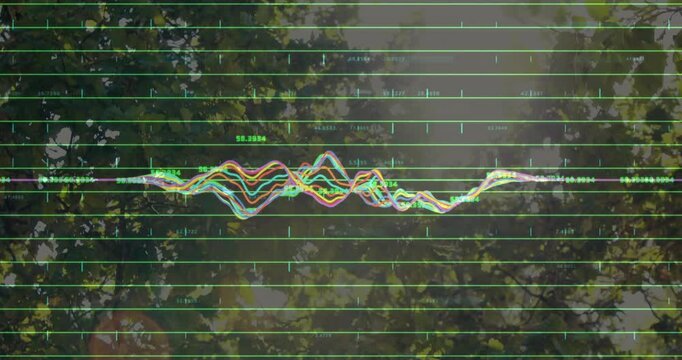 Multicolored waveform graph being overlaid on sunlit forest showing neon lime grid and data labels