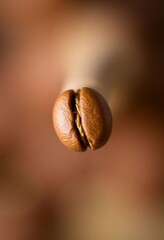 close up of a coffee bean with a blurry background