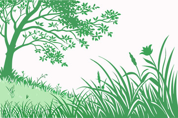 green grass background