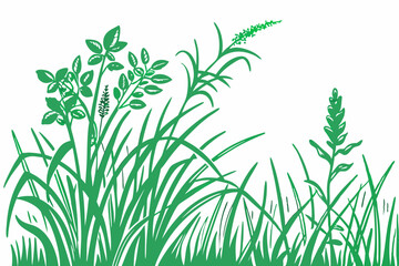 Fototapeta premium fresh green grass