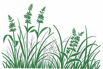 Fototapeta premium green grass vector