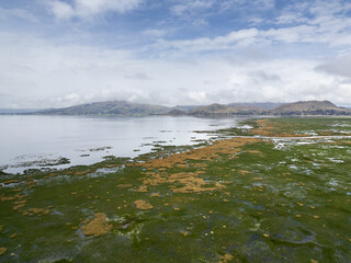 Drone view of a vibrant green reed island in Lake Titicaca