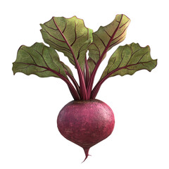 Fresh beetroot vegetable with leaves isolated on transparent background