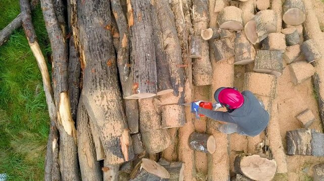 Lumberjack with a chainsaw cutting trees in the forest. Preparing firewood for winter. Top down view. Aerial view from drone
