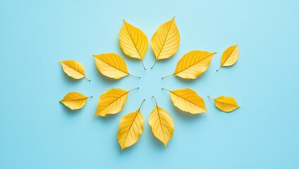 Autumnal leaves arranged in a circle