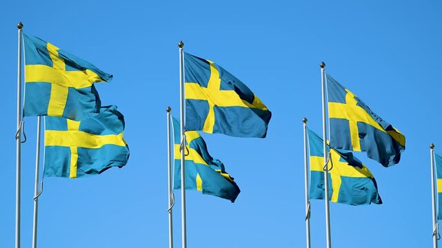Swedish flags waving against clear blue sky