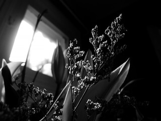 Photo en noir et blanc d'un bouquet de fleurs sur le rebord de la fenêtre