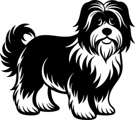 havanese simple black silhouette, Black silhouette vector icon, silhouette illustration, Animal silhouette