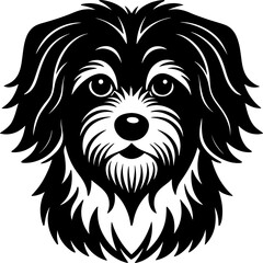 havanese head simple black silhouette, Black silhouette vector icon, silhouette illustration, Animal silhouette