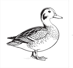 Duck Vector