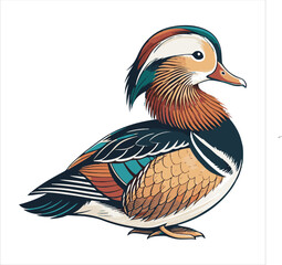 Duck Vector