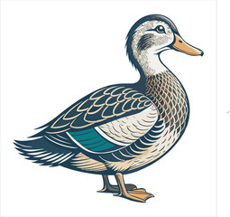 Duck Vector