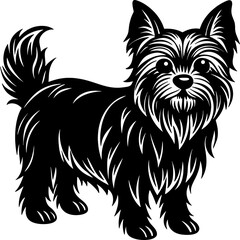 yorkshire terrier  simple black silhouette, Black silhouette vector icon, silhouette illustration, Animal silhouette