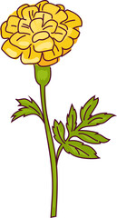Buttercup flower colorful cartoon yellow flower vector illustration