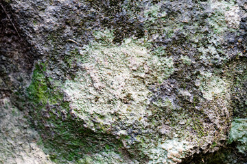 Surface features natural textures suitable for creating unique cards or invitations.