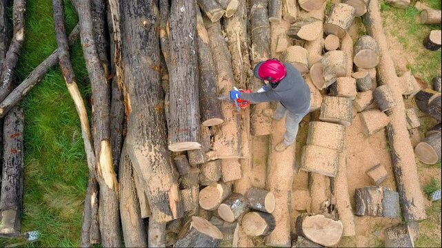 Lumberjack with a chainsaw cutting trees in the forest. Preparing firewood for winter. Top down view. Aerial view from drone
