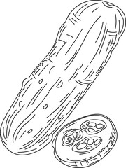 Cucumber slice vegetable hand-drawn sketch line art vector illustration