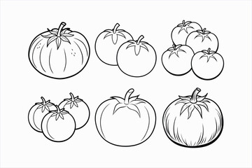 set of tomato line art vector illustration