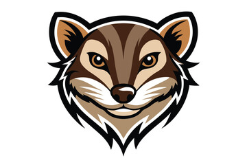 Close up of cartoon raccoon face features shades of brown and black colors