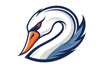 A stunning white swan head displays an intense orange eye against a clean backdrop