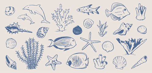 Fish and shells, underwater world doodles. Marine drawings. Hand drawn illustration of corals, sea plants, seashells. Graphic background elements.