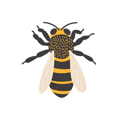 Bee illustration with detailed features and vibrant colors on a plain background