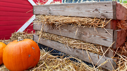 Rustic wooden box filled with loose hay and a pumpkin sits in front of a red wall.