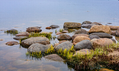 stones in the water
