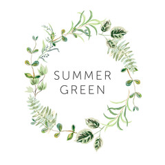 Wreath of green leaves, white background. Wedding invitation round frame. Summer forest  greenery. Vector illustration. Floral arrangement. Design template greeting card with text. Botanical 