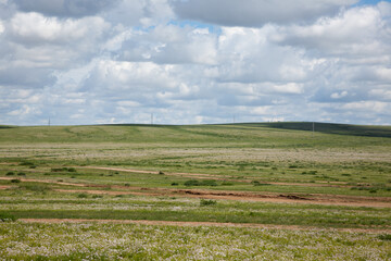 Mongolian steppe, Gobi desert landscape, Mongolia