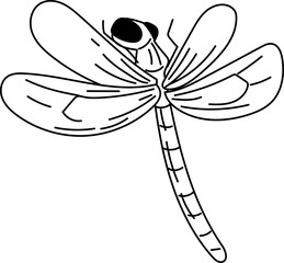 Dragonfly front facing hand-drawn dragonfly sketch vector illustration