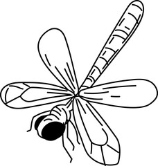 Dragonfly top wings spread hand-drawn dragonfly sketch vector illustration