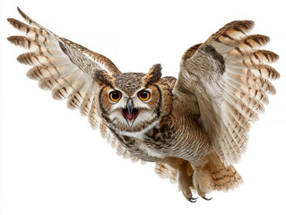 Barn owl in flight, facing viewer with side-glance, extended wings and visible tail, speckled brown feathers, white chest patch, natural lighting, outdoor environment, realistic style, - AI-Generated