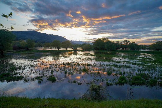 Shkodra lake at sunset, Albania