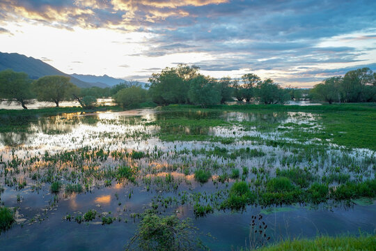 Shkodra lake at sunset, Albania