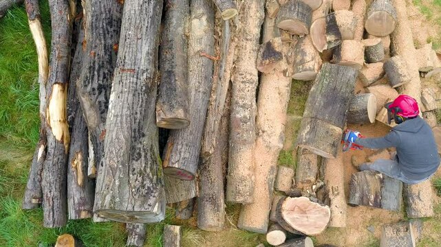 Lumberjack with a chainsaw cutting trees in the forest. Preparing firewood for winter. Top down view. Aerial view from drone

