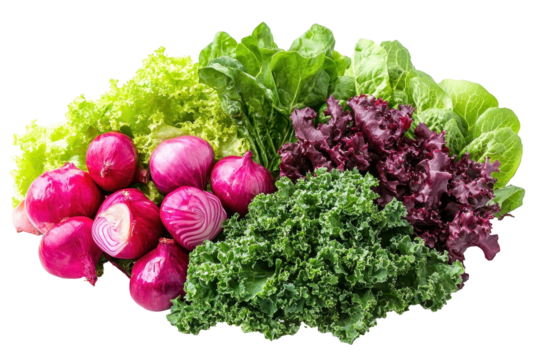 Colorful salad ingredients arranged artistically with vibrant greens, edible flowers, and fresh vegetables for culinary presentation