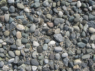 The Pebbly Beach Of New Brighton Park