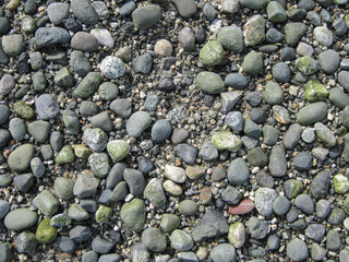 The Pebbly Beach Of New Brighton Park