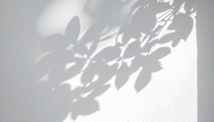 Elegant Monochrome Leaf Shadows on White Wall Abstract Nature Photography