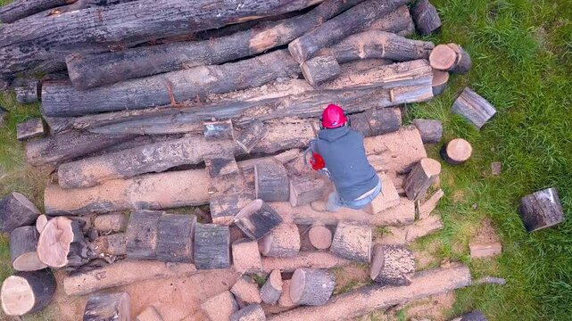 Lumberjack with a chainsaw cutting trees in the forest. Preparing firewood for winter. Top down view. Aerial view from drone
