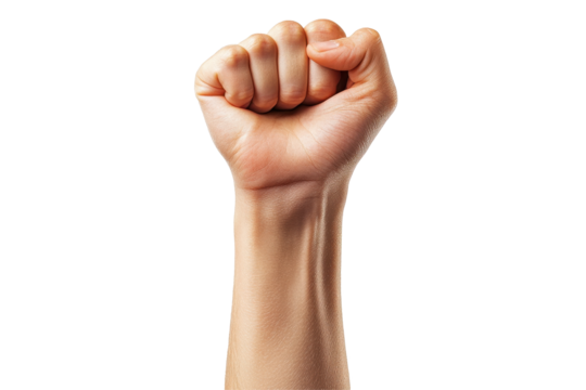 Two clenched fists opposing each other in a display of determination and strength over a transparent background