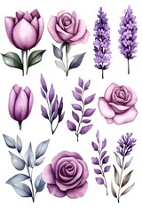 Watercolor floral collection featuring roses, tulips, and lavender in soft purple hues