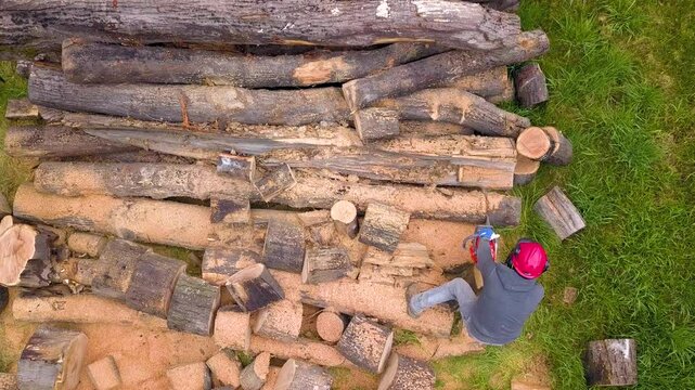 Lumberjack with a chainsaw cutting trees in the forest. Preparing firewood for winter. Top down view. Aerial view from drone
