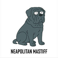 Vector Cartoon Character Illustration Neapolitan Mastiff Dog Breed	