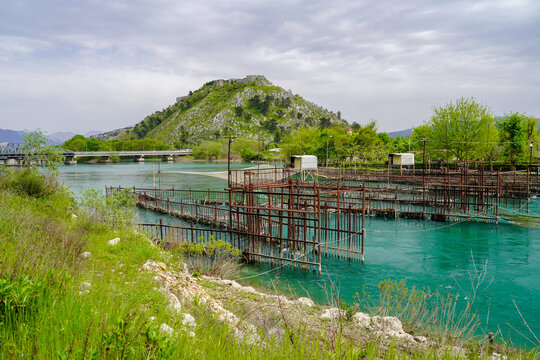 Shkodra lake and Buna river in Albania