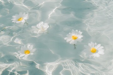 Delicate white flowers on water