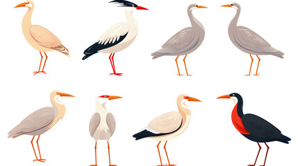 Corw Bird Collection Set Isolated Flat Vector Illustration